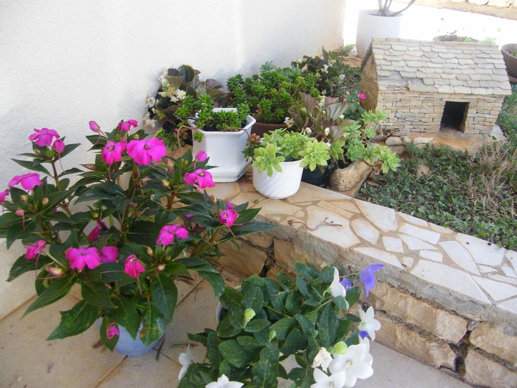 Apartments Maslina Λομπάρδα Εξωτερικό φωτογραφία
