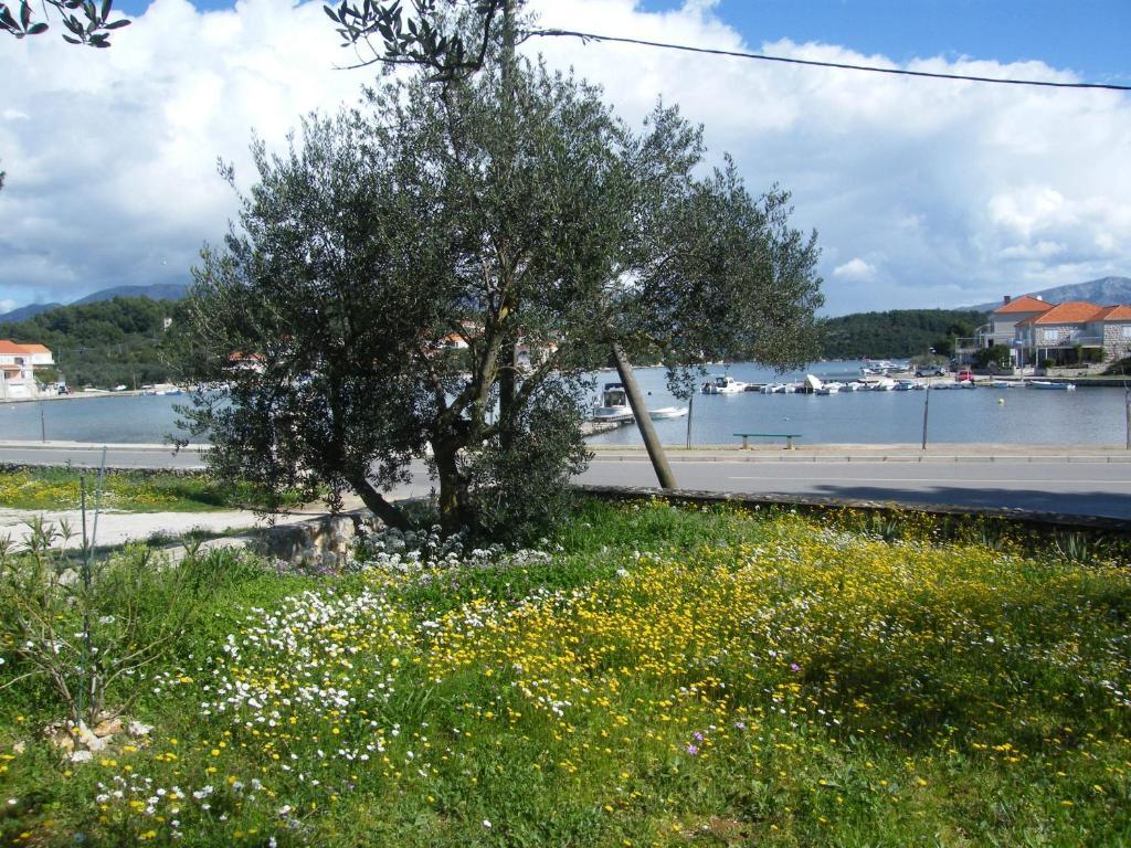 Apartments Maslina Λομπάρδα Εξωτερικό φωτογραφία